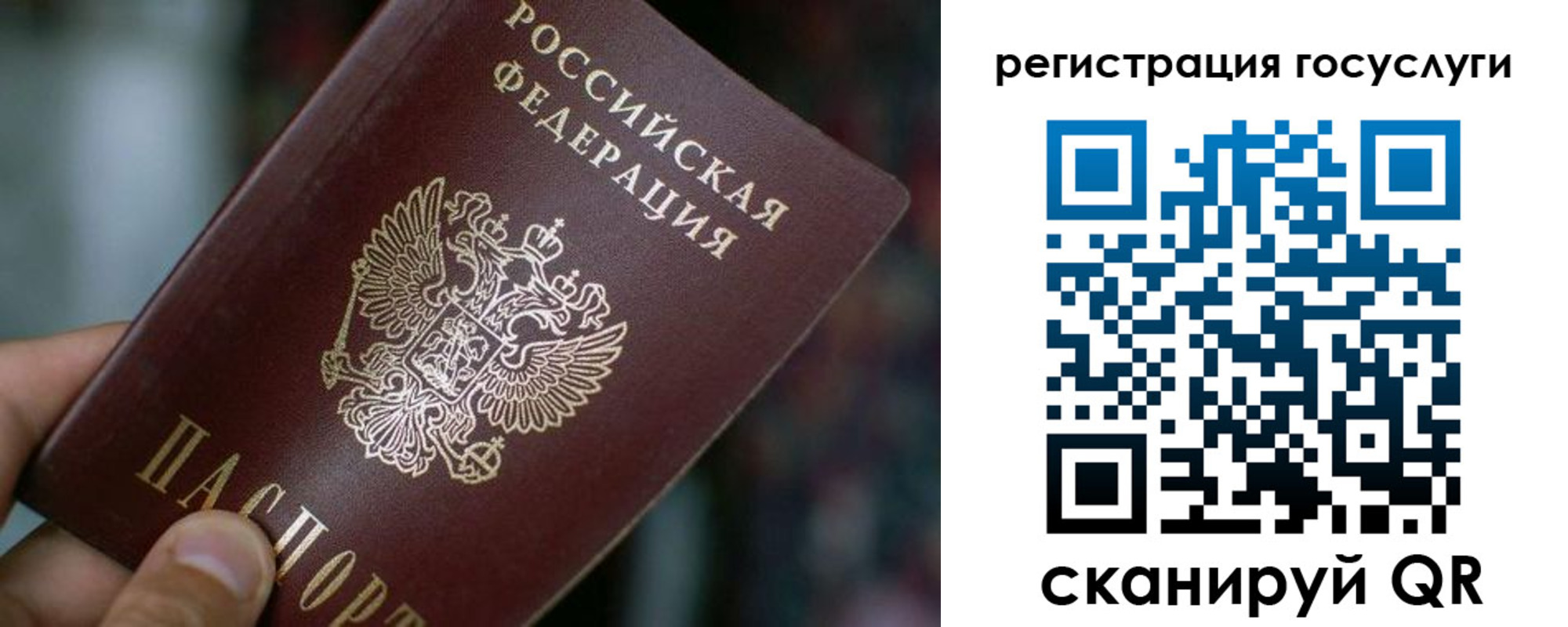 временная прописка в Шебекино